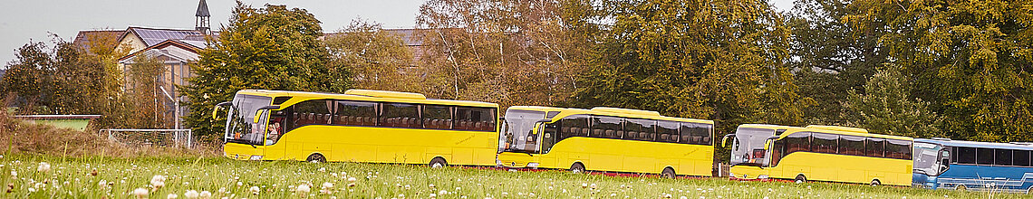 Montessori Biberkor Schulbusse