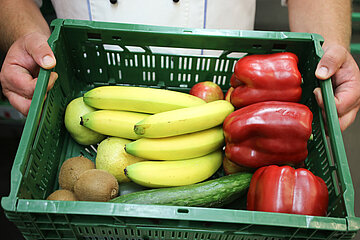 Obstkiste Bio zertifiziert