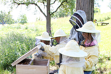 Kinder beim Imkern an einem Bienenstock