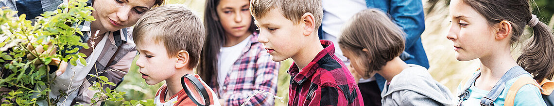 Fünf SchülerInnen und zwei LehrerInnen untersuchen eine Pflanze mit einer Lupe